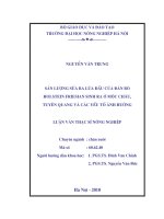 Luận văn sản lượng sữa ba lứa đầu của đàn bò holstein friesian sinh ra ở mộc châu, tuyên quang và các yếu tố ảnh hưởng 