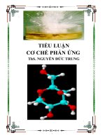 CƠ CHẾ PHẢN ỨNG TỔNG HỢP TRONG HÓA HỮU CƠ
