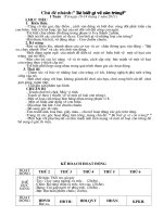 Gián án bé biết gì về côn trùng (Tuần 4: 10-14/1/2011