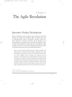 The agile revolution   innovative product development 