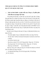 TỔNG QUAN CHUNG VỀ CÔNG TY CỔ PHẦN PHÁT TRIỂN ĐẦU TƯ XÂY DỰNG VIỆT NAM