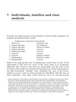 Individuals, families and class analysis