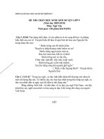 Gián án HSG VĂN-HUYỆN KRÔNG BA 2009-2010