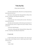 Giáo trình Viêm Dạ Dày