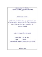 Nghiên cứu ảnh hưởng của mật độ trồng và liều lượng phân đạm đến năng suất và chất lượng của cây cao lương làm thức ăn gia súc tại gia lâm hà nội 