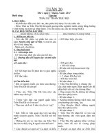 Gián án GIÁO ÁN 5-TUẦN 20-KNS-LIEN