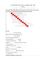 Tài liệu câu đố dành cho buổi ngoại khóa Tiếng Việt 4