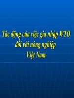 Tác động của việc gia nhập WTO đối với nông nghiệp việt nam 