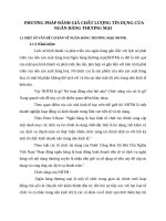 PHƯƠNG PHÁP ĐÁNH GIÁ CHẤT LƯỢNG TÍN DỤNG CỦA  NGÂN HÀNG THƯƠNG MẠI