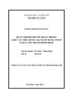 Quản trị rủi ro tín dụng trong cho vay tiêu dùng tại ngân hàng TMCP nam á chi nhánh bình định 