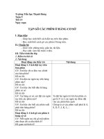 Bài giảng Tập gõ các phím ở hàng cơ sở