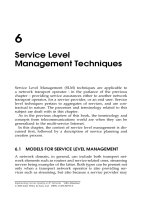 Thực hiện chất lượng dịch vụ trong các mạng IP (P6)