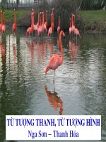 Gián án Dùng từ tượng thanh - tượng hình