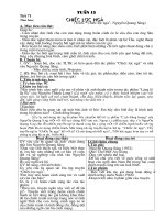 Bài giảng Chiếc lược ngà VB