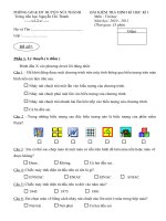 Gián án De thi HKI lop 4