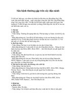 Sâu bệnh thường gặp trên cây đậu nành