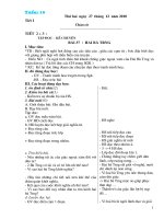 Bài giảng giao an L3(3cot)Vanchan -Tuan 19- CKTKN + LG