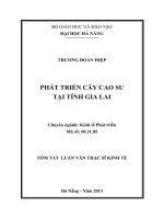 Phát triển cây cao su tại tỉnh gia lai 