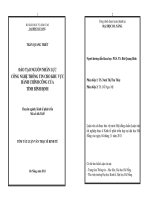 Đào tạo nguồn nhân lực công nghệ thông tin cho khu vực hành chính công của tỉnh bình định 