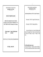 Chính sách marketing cho sản phẩm căn hộ cao cấp tại công ty TNHH đầu tư và phát triển hàn quốc (blooming tower danang) 