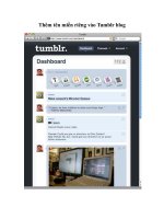 Thêm tên miền riêng vào Tumblr blog