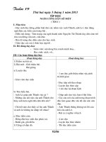 Bài soạn GA LOP 5 TUAN 19 CKTKN