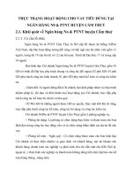 THỰC TRẠNG HOẠT ĐỘNG CHO VAY TIÊU DÙNG TẠI NGÂN HÀNG N0 & PTNT HUYỆN CẨM THUỶ