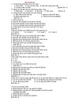 Bài soạn on toan ki 1