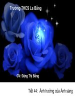 Gián án tiết44- ảnh hưởng của ánh sảng