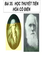 Gián án sinh hoc 12