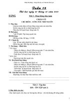 Gián án Giao an lop 4 tuan 18