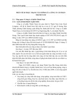 PHÂN TÍCH THỰC TRẠNG TÀI CHÍNH CỦA CÔNG TY CỔ PHẦN THÀNH NAM