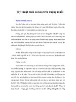 Kỹ thuật nuôi cá kèo trên ruộng muối