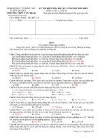 Bài soạn Đề thi HK I - Tân Trào