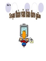 Bài soạn bài 14_ chỉnh sửa văn bản