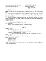 Bài soạn DE THI HSG LOP 4