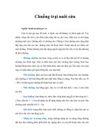 Chuồng trại nuôi cừu