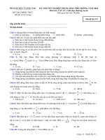 Đề thi chính thức kỳ thi tốt nghiệp THPT 2010 môn Vật lý - Giáo dục thường xuyên (Mã đề thi 371)