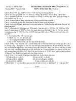 Gián án DE HOC SINH GIOI