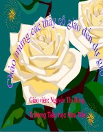 rát nhiều mặt trăng