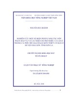 Luận văn nghiên cứu một số biện pháp canh tác góp phần bảo vệ và cải tạo độ phì nhiêu của đất trồng cafe chè giai đoạn kiến thiết cơ bản ở huyện mai sơn, tỉnh sơn la 