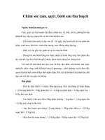 Chăm sóc cam, quýt, bưởi sau thu hoạch