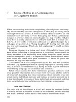 Social Phobia as a Consequence of Cognitive Biases