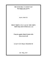 Phát triển cây cao su tiểu điền trên địa bàn tỉnh gia lai 