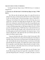 NHẬN XÉT CHUNG VỀ CÔNG TY TNHH SELTA