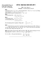 Bài giảng Đê thi HSG 2010