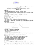 Gián án GIAO AN LOP 3 TUAN 9