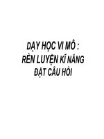 Gián án Rèn luyện kĩ năng đặt câu hỏi