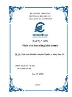 Phân tích kết quả kinh doanh phân tích báo cáo tài chính công ty cổ phần xi măng sông đà năm 2010 2012