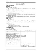 Bài soạn lop3 tuan 19